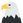 :eagle: