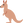:kangaroo:
