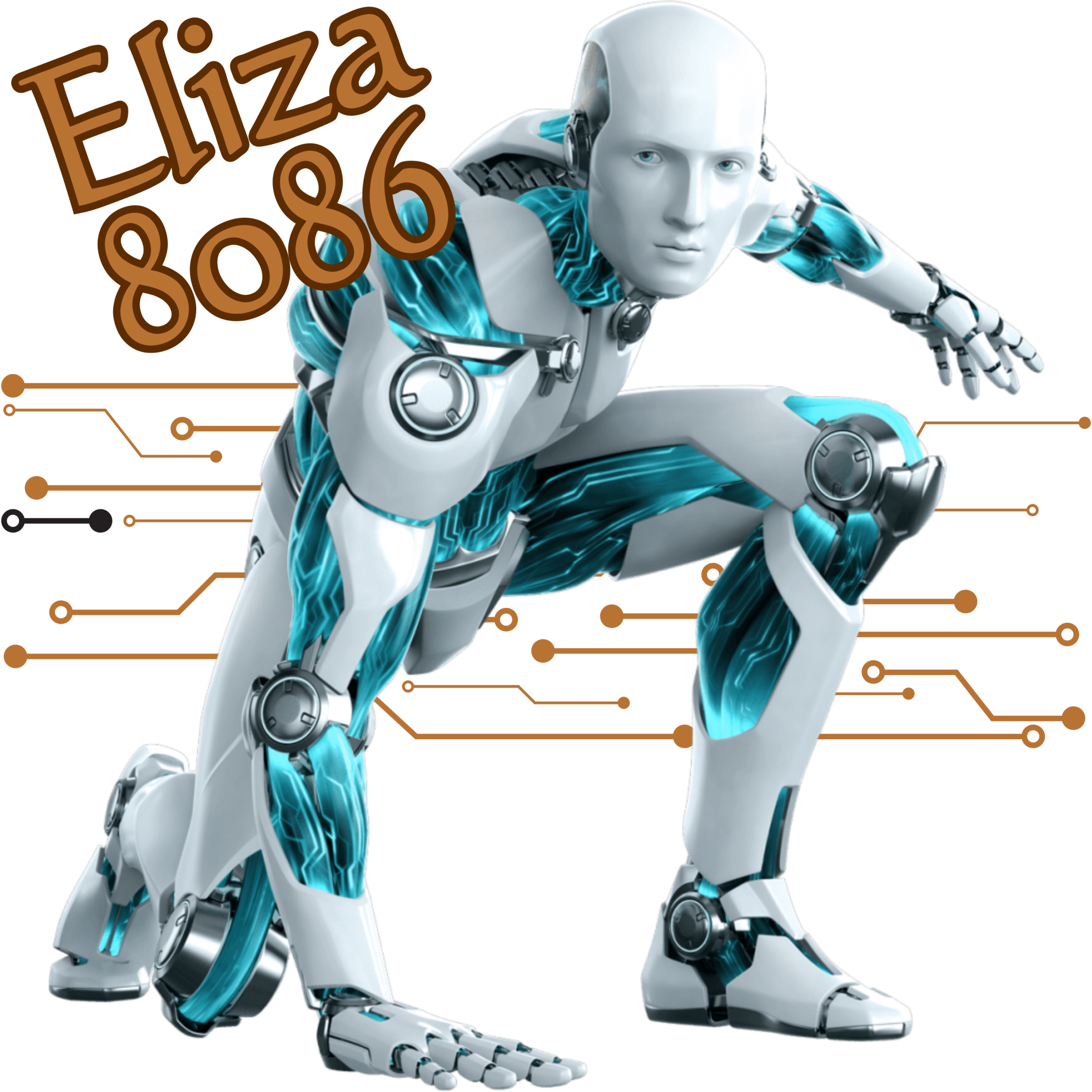 Eliza 8086 a.s.b.l. – Info