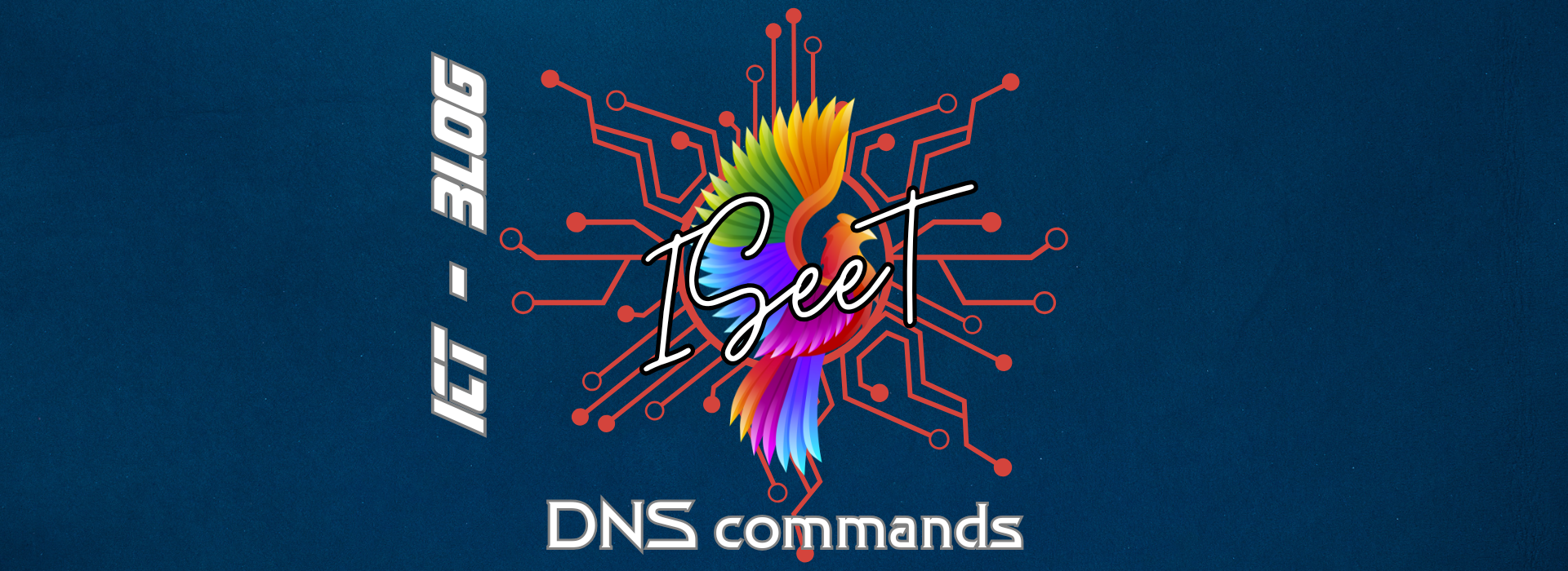 DNS commands