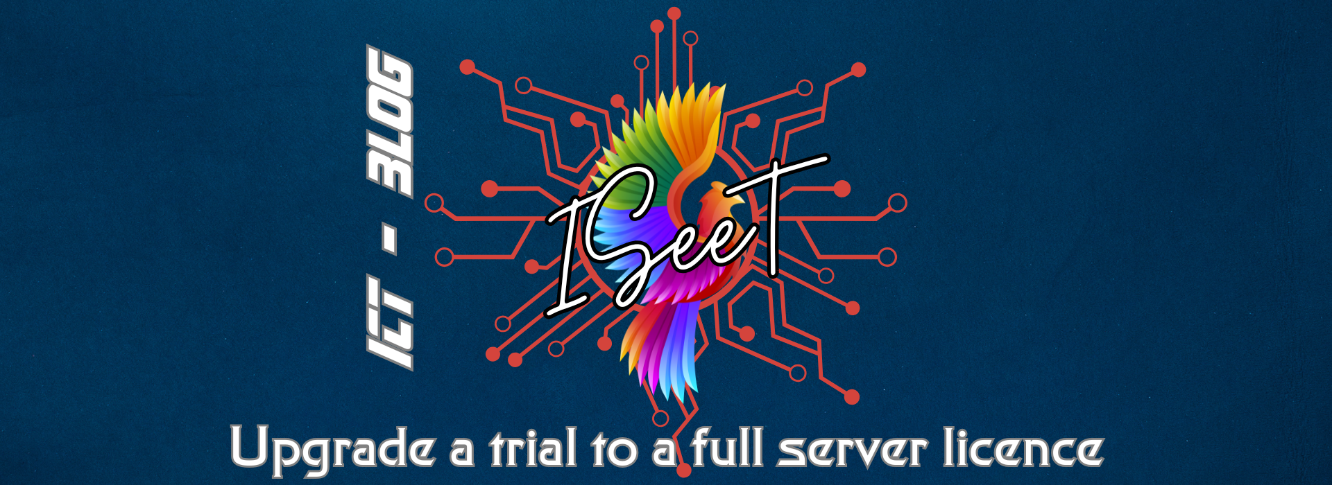 Upgrade a trial to a full server licence